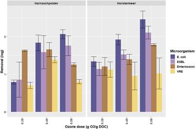 Removal of Antibiotic Resistance From Municipal Secondary Effluents by Ozone-Activated Carbon Filtration